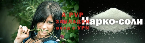 ПСИЛОЦИБИНОВЫЕ ГРИБЫ Бородино