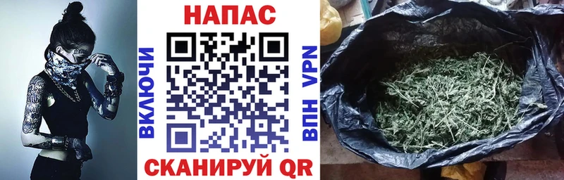 наркотики  Демидов  Конопля VHQ 